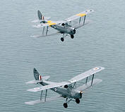 Vintage Tiger Moth Joyflights (Point Cook)