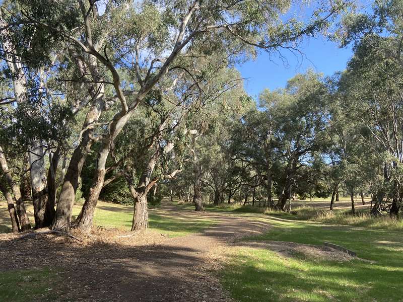 Violet Town - Honeysuckle Creek Walking Track