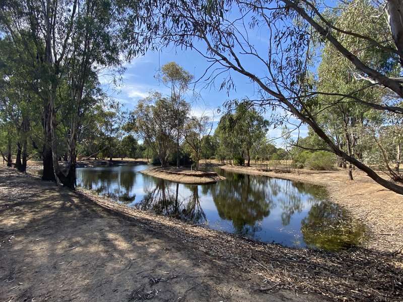 Violet Town - Shadforth Reserve Walk