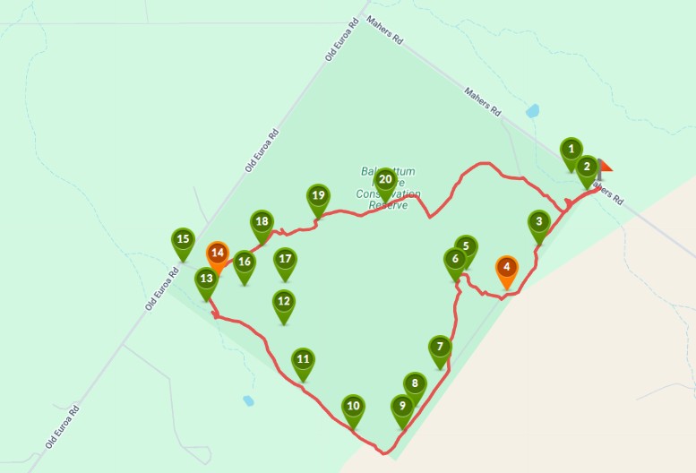 Violet Town - Balmattum Grassland Walk