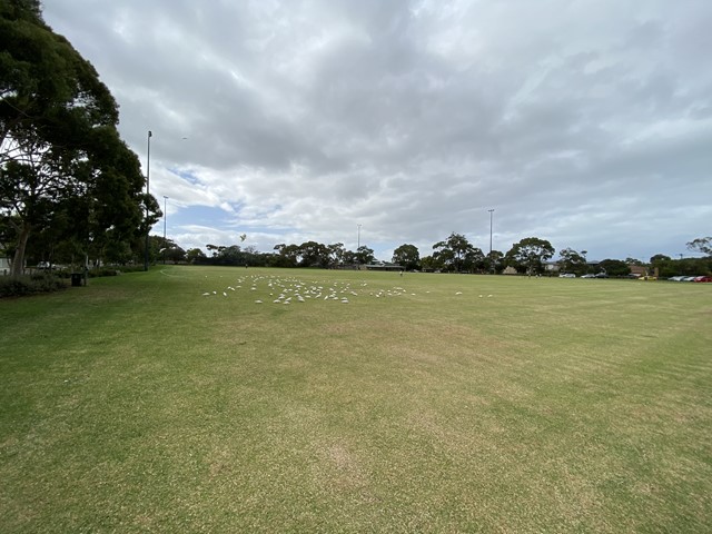 W. L Simpson Reserve Dog Off Leash Area (Hampton)