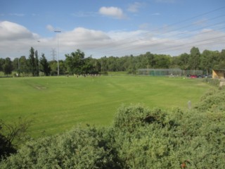 W.H. Robinson Reserve Dog Off Leash Area (Preston)