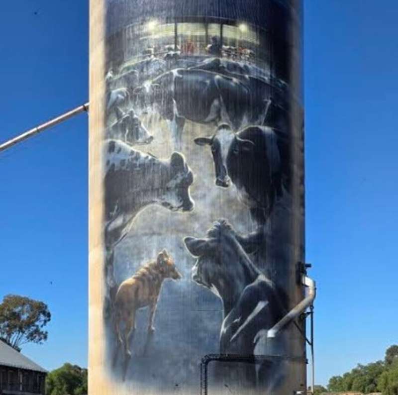 Waaia Silo Art