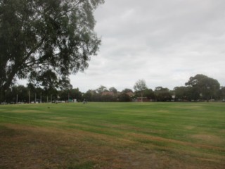 Walter Galt Reserve Dog Off Leash Area (Parkdale)