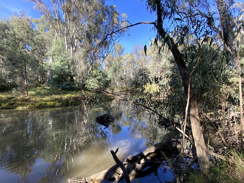 Wangaratta - Kaluna Park Walk