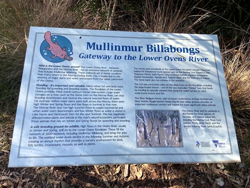 Wangaratta - Mullinmur Billabong Loop Walk