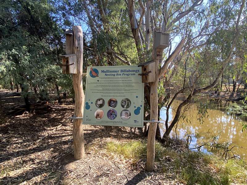 Wangaratta - Mullinmur Billabong Loop Walk