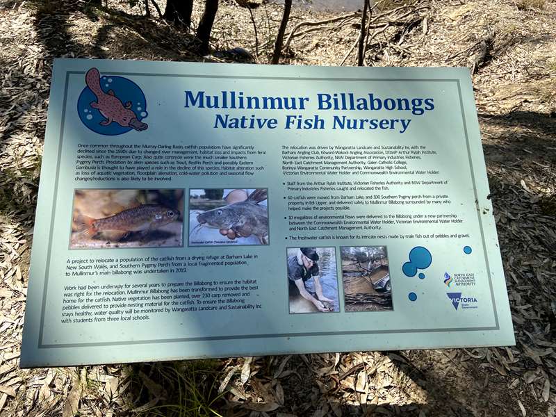 Wangaratta - Mullinmur Billabong Loop Walk