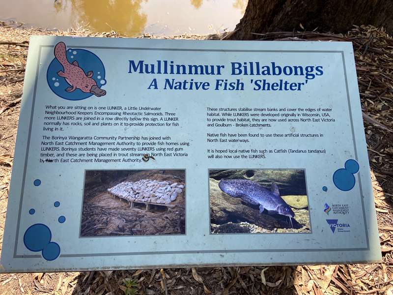 Wangaratta - Mullinmur Billabong Loop Walk