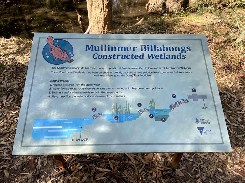 Wangaratta - Mullinmur Billabong Loop Walk