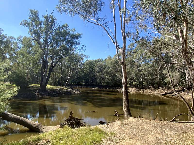 Wangaratta - Mullinmur Billabong Loop Walk