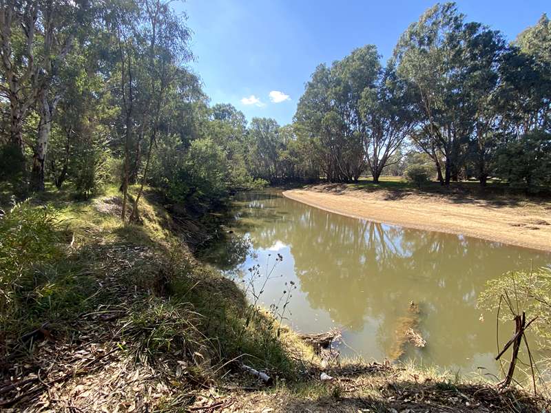 Wangaratta - Mullinmur Billabong Torryong Track Walk