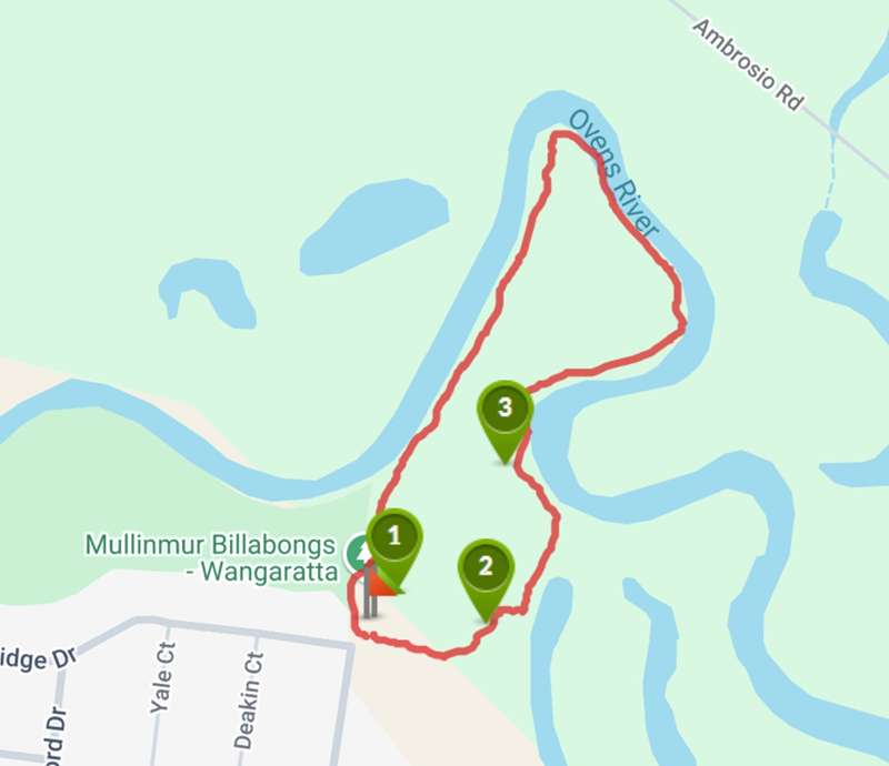 Wangaratta - Mullinmur Billabong Torryong Track Walk