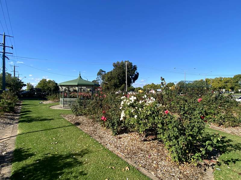 Wangaratta Rose Garden