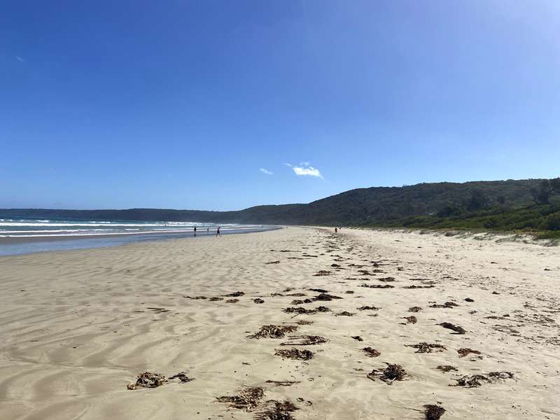 Waratah Bay Beach