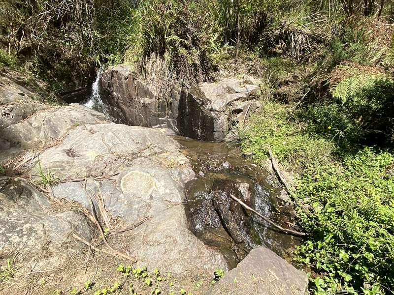 Warburton Circuit Walk