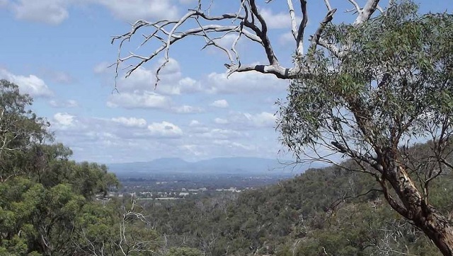 Warby-Ovens National Park