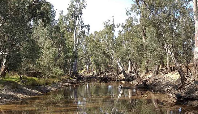 Warby-Ovens National Park