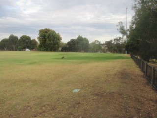 Warner Reserve Dog Off Leash Area (Ashburton)