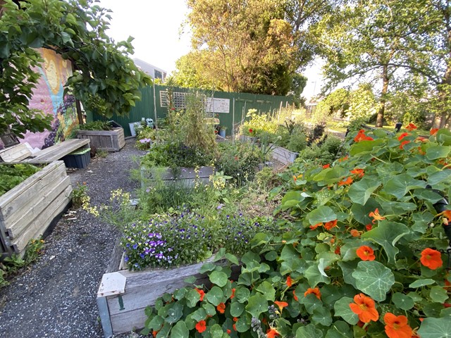 Warr Park Food Forest (Brunswick)