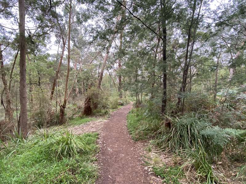 Warrien Reserve Walk (Croydon North)