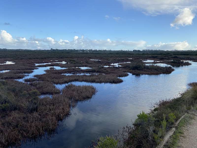 Warringine Park (Coastal Wetlands)