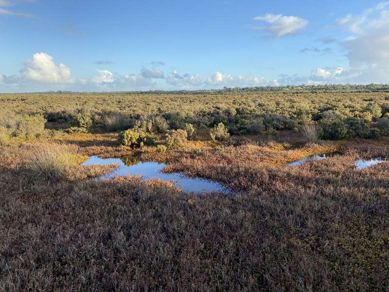 Warringine Park (Coastal Wetlands)