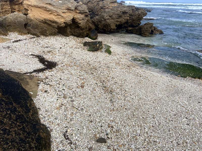 Warrnambool - Thunder Point Walk