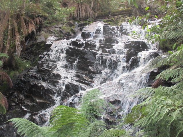 Cora Lynn Waterfall and Cumberland Waterfall