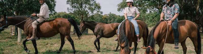 Wattle Bank Farm