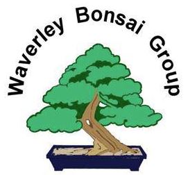 Waverley Bonsai Group (Mount Waverley)