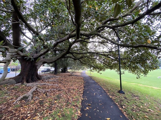 Waverley Park Dog Off Leash Area (Malvern East)