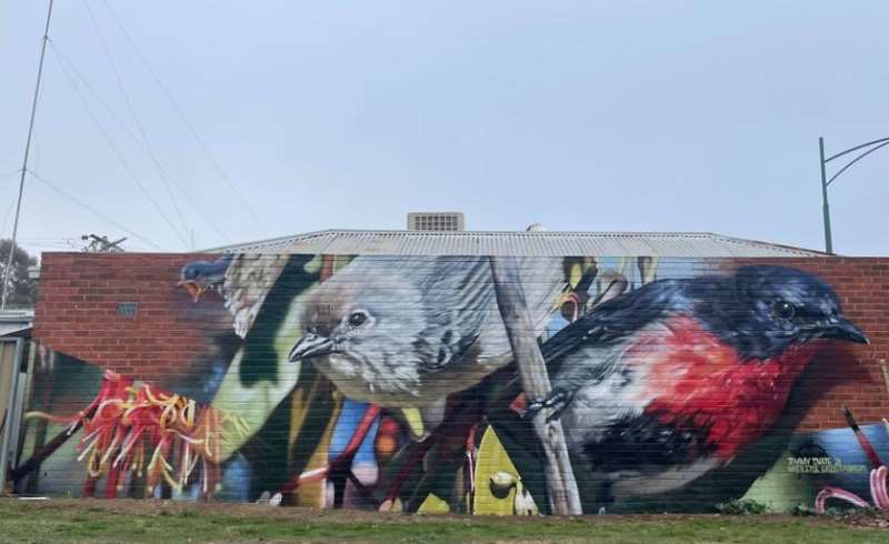 Wedderburn - Birds Eye View Murals