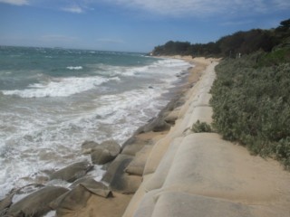 Weeroona Bay Beach (Portsea)