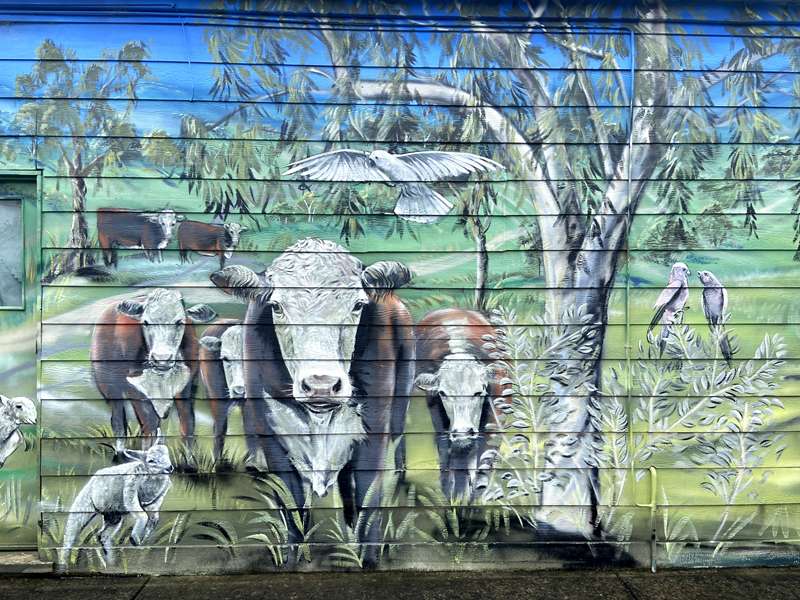 Wellington Shire Street and Public Art