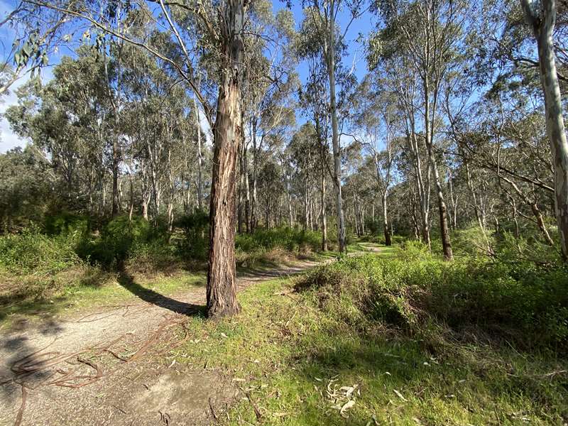 Westerfolds Park (Templestowe)