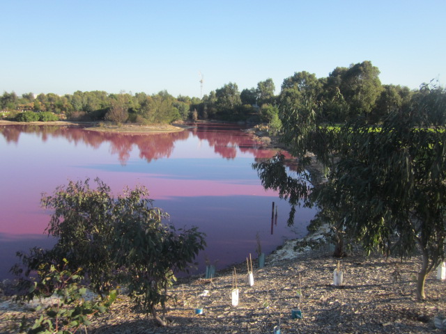 Westgate Park, Port Melbourne