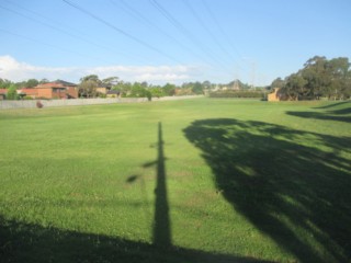 Whites Lane Retarding Basin Dog Off Leash Area (Glen Waverley)