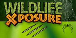 Wildlife Xposure