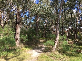 William Morris Reserve Dog Off Leash Area (Wantirna)