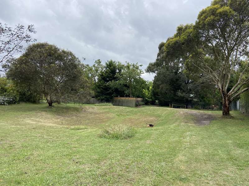 Willowbank Drainage Reserve Dog Off Leash Area (Gisborne)