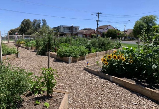 Willsmere Station Community Garden (Kew East)