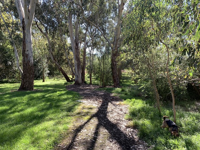 Wilson Reserve Dog Off Leash Area (Ivanhoe)