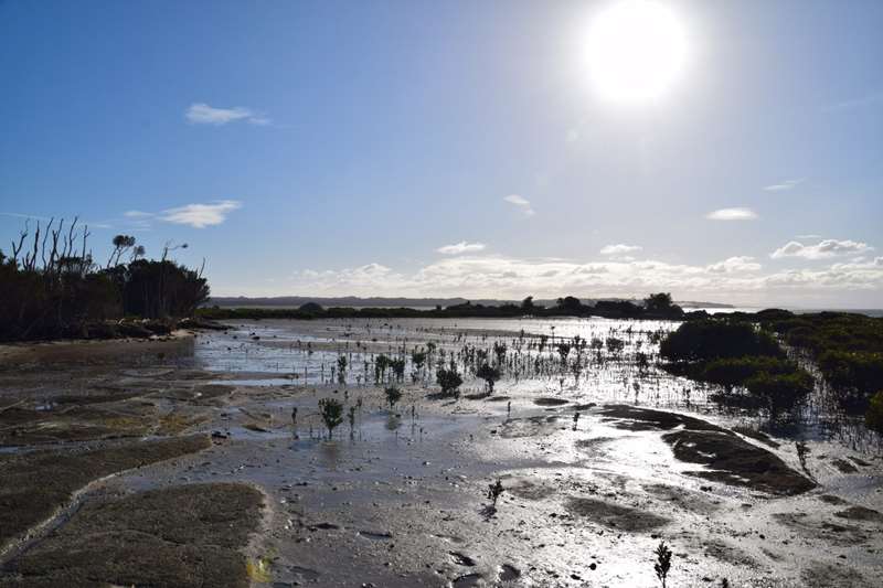 Tidal River - Wilsons Promontory National Park