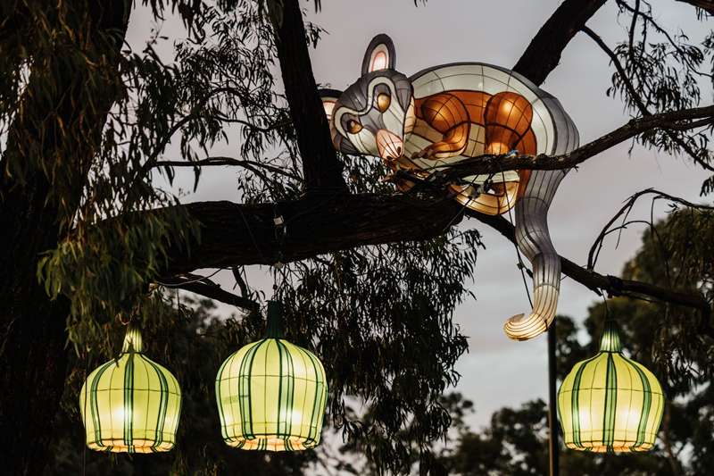 Banyule Lantern Festival
