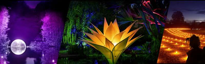 Lightfall at Royal Botanic Gardens Cranbourne