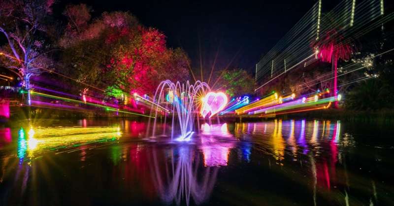 Neon Fields