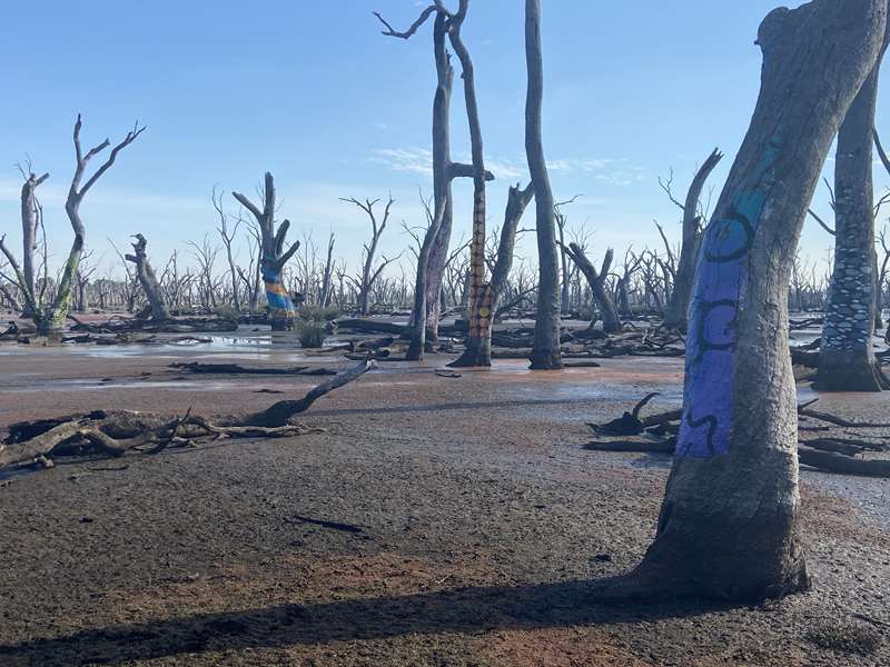 Winton Wetlands Art Trail
