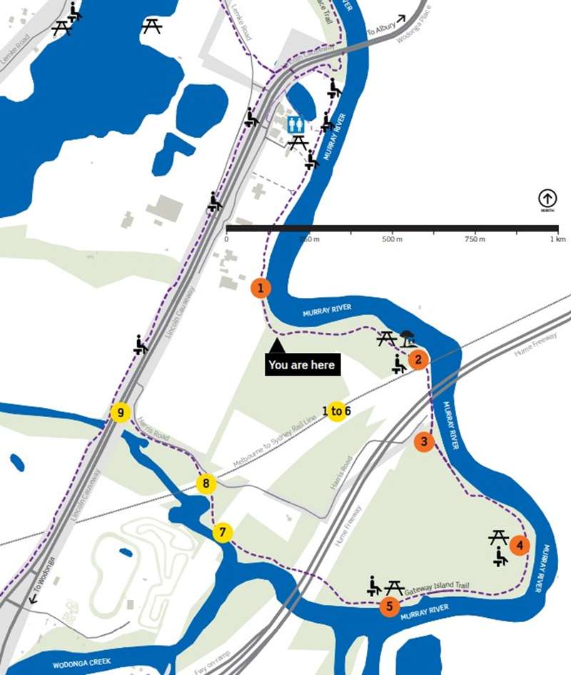 Wodonga - Gateway Island Trail