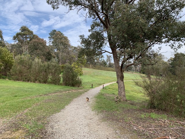 Wonga Park Reserve Dog Off Leash Area (Wonga Park)